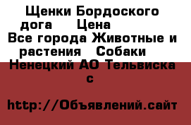 Щенки Бордоского дога.  › Цена ­ 30 000 - Все города Животные и растения » Собаки   . Ненецкий АО,Тельвиска с.